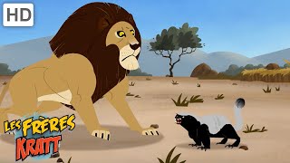 Les lions ont peur de ce petit mammifère [épisodes complets] Les Frères Kratt