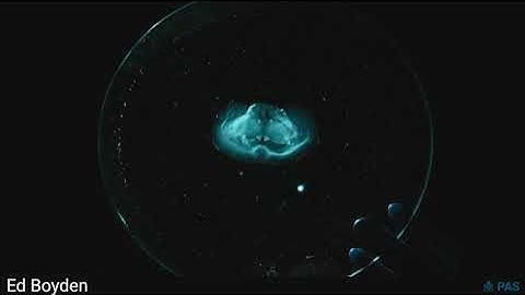 Edward Boyden – Tools for Analyzing and Controlling Brain Computations