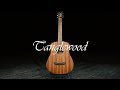 Tanglewood tw2 t winterleaf travel guitar natural  gear4music demo