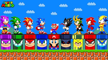 What if Super Mario had Custom Pipes All SONIC SUPER HEROES Form Characters?