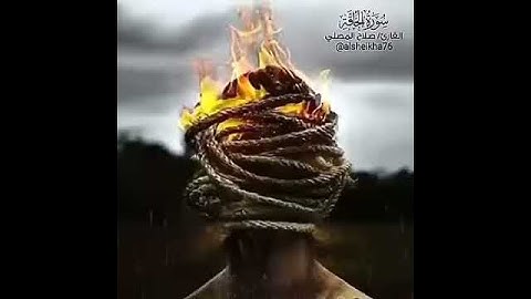 القارئ / صﻻح المصلي