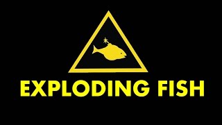 Exploding Fish Promo Video