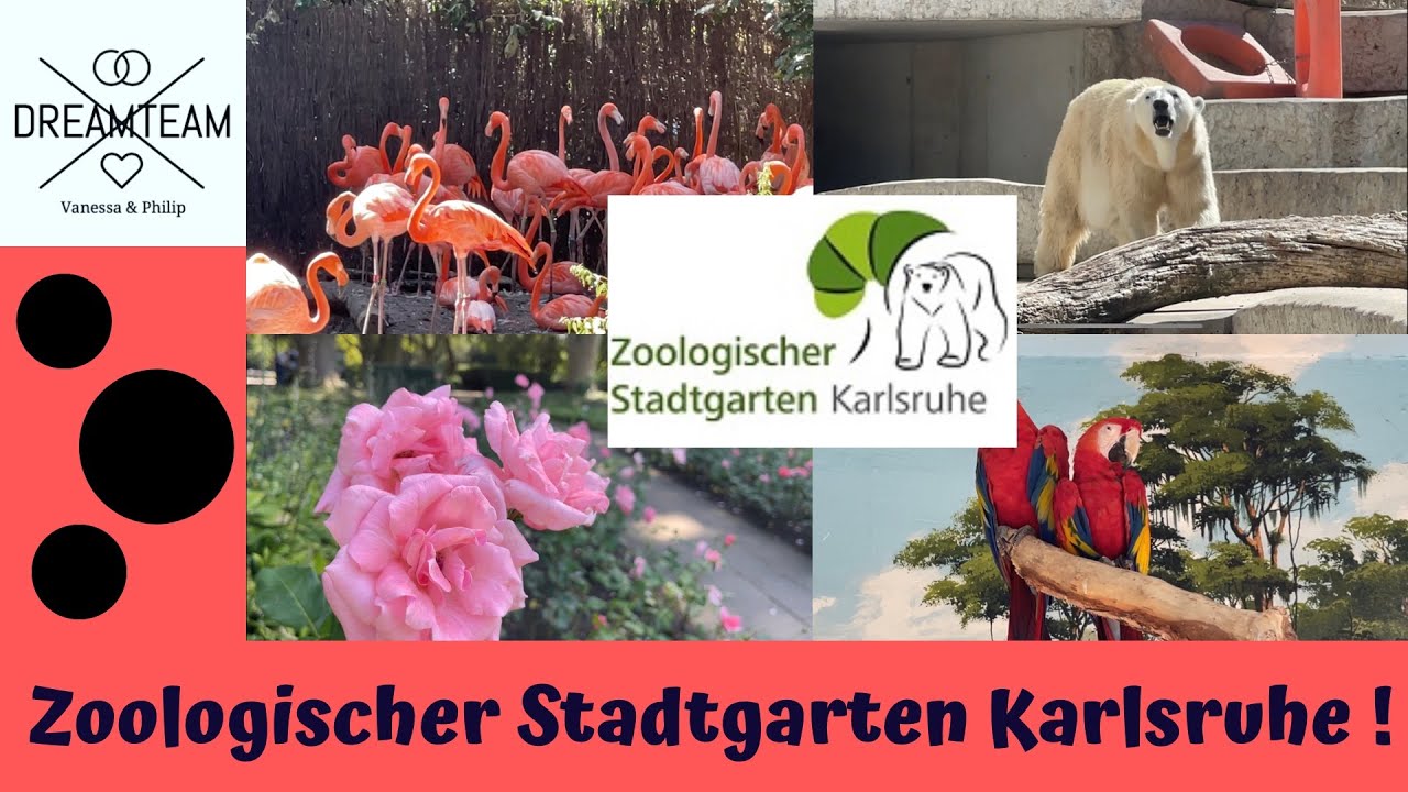 DOKU Zoologischer Stadtgaren Karlsruhe 2022 Zoo Karlsruhe Essen