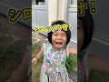 まさかのそれ！？最近のあのしーちゃんのお気に入りが予想外すぎた…😂 | あのしーちゃん | パピプペポちゃんねる #shorts #あのしーちゃん