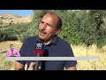 البترا مطالب بإقامة طريق زراعي بمنطقة الطامية في وادي موسى 