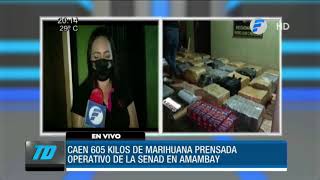 Caen 605 kilos de marihuana en Amambay