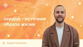 видео: Андрей Николаев | «Сердце-источник образа жизни» картинка: Андрей Николаев | «Сердце-источник образа жизни»