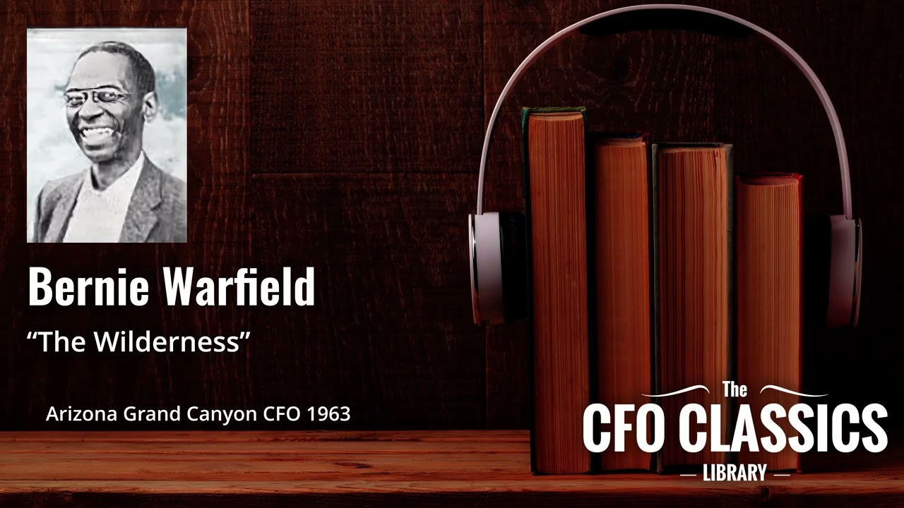 Картина «Пустыня» Берни Уорфилда — финансового директора компании Grand Canyon в Аризоне, 1963 год.