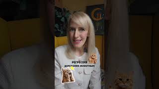 Сеанс регрессии домашним животным #прошлыежизни #тонкийплан #регрессолог