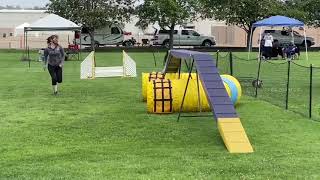 Andreu Agility Trial May 2021 by Katherine McGuire 161 views 2 years ago 1 minute, 42 seconds