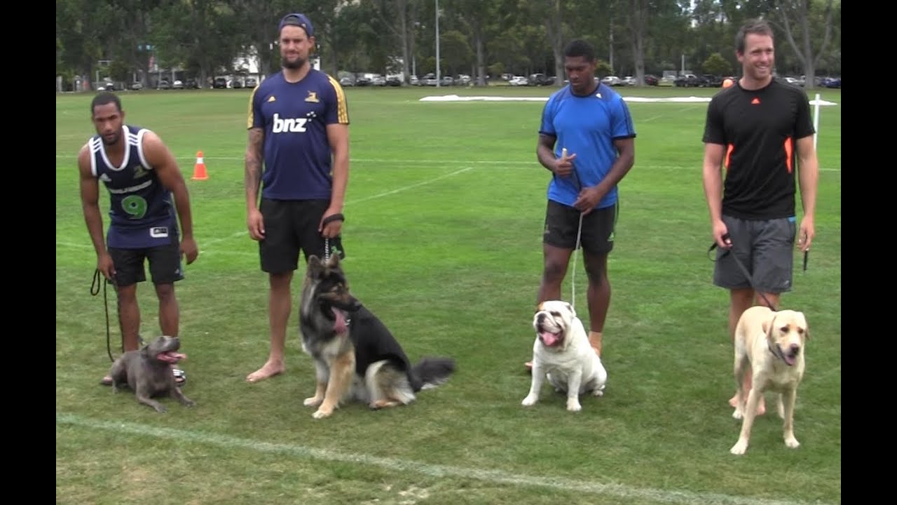 2015 Highlanders TUX Wonderdogs