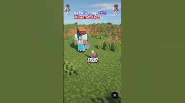 Chorus Fruit Can Save You From Fall Damage! 🍇💥 #shorts #minecraft #fact