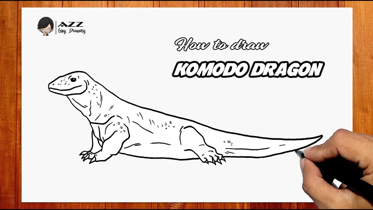 comodo dragon drawing