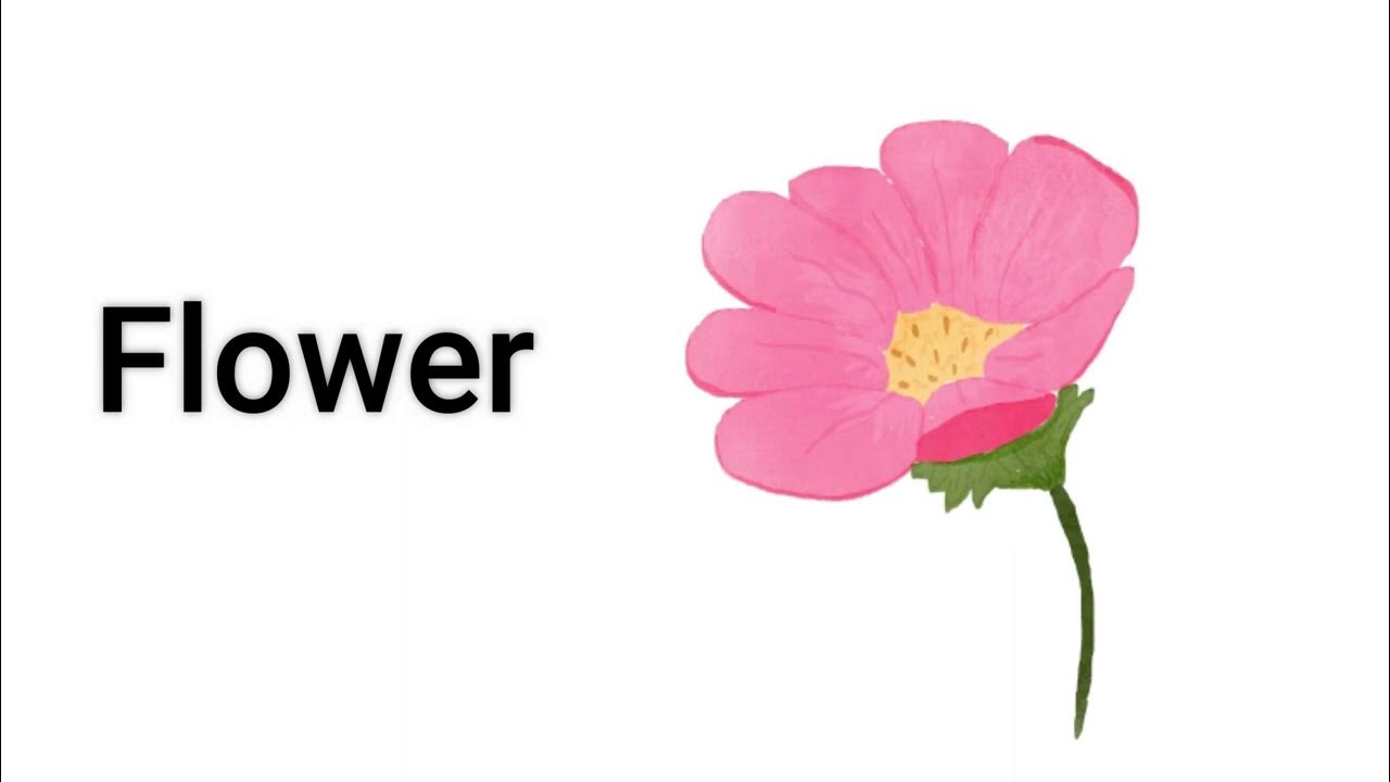 ¿Cómo se dice flor en inglés? YouTube