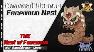 บอลป้ายยา 2024 EP.2 : แนะนำวิธีการลง The Nest of Faceworm ของอาชีพ Lord Knight สาย Hybrid ROC (GGT)