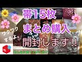 想像以上に楽しめた‼️メルカリで帯15枚まとめ購入開封します！