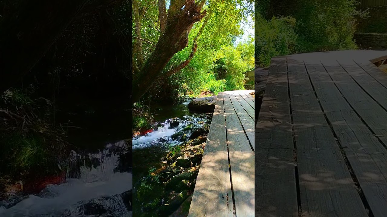 🇪🇸 🌳 Río Sarela (Santiago de Compostela) #Senderismo #Galicia #España #Shorts