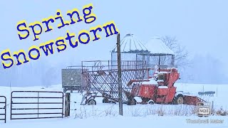 Snowstorm On The Dairy Farm