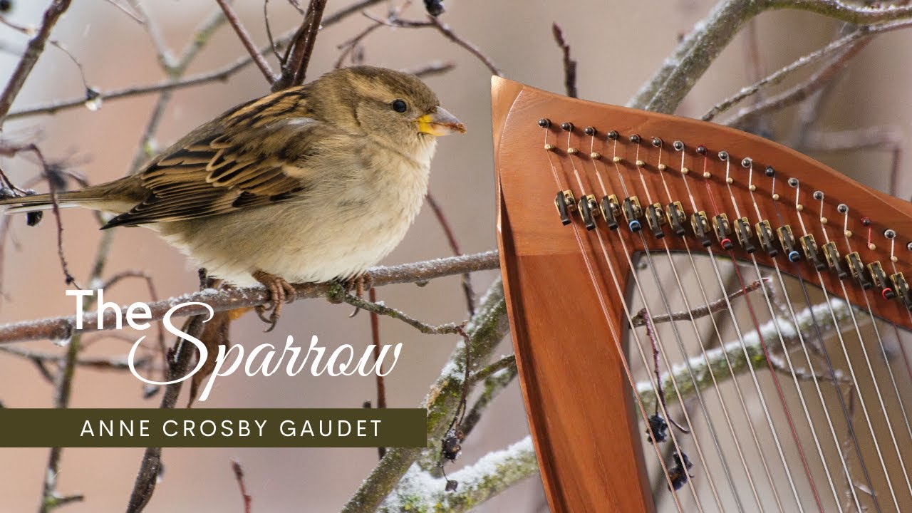 THE SPARROW harp music by Anne Crosby Gaudet 