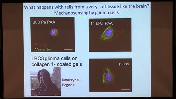 Colloquium, December 4th, 2014 -- Non-linear Elasticity and Relaxation in Soft Tissues...