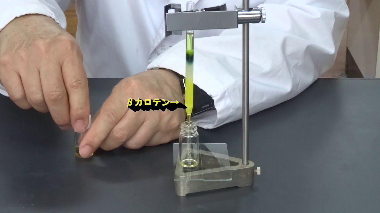 光合成色素の分離と抽出 カラムクロマトグラフィー 高校生物実験 Youtube