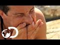 Bear Grylls' Top 3 Most Disgusting Moments | NOT FOR THE SQUEAMISH