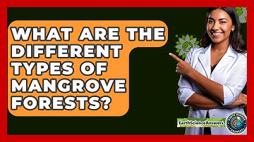 What Are The Different Types Of Mangrove Forests? - Earth Science Answers
