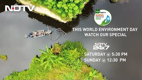 World Environment Day 2021: Focus On Ecosystem Restoration