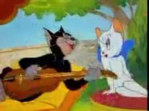 BeratDuran SEN AYRI TRENDE BEN AYRI GARDA KEDİ