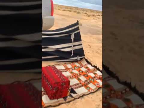 شيلة ابرقي يابورق وامطري ياسحايب Viral اكسبلور امطار حايلنا القصيم بريده