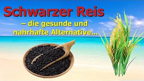 Wie gesund ist schwarzer Reis?