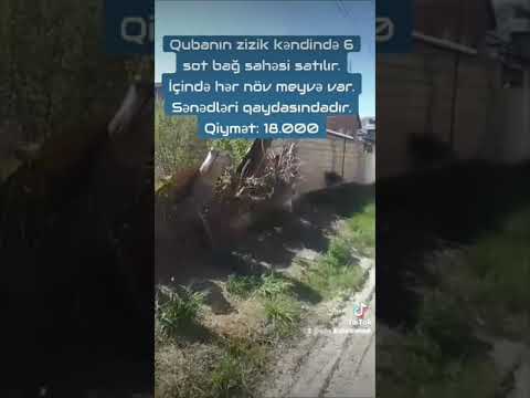 Quba Zizik kəndi 6 sot meyvə bağı. Qiyməti - 18.000