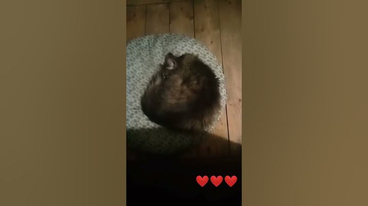 Лучшие друзья!!!!! А как зовут твоего лучшего друга?