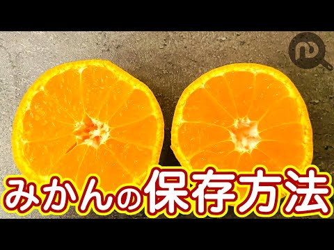 みかんの保存方法　【常温・冷蔵・冷凍】N.D.Kitchen Basic