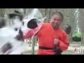 Kung fu monk vs other masters   dont mess with kung fu masters