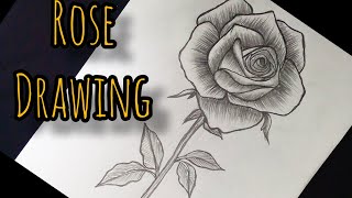 How To Draw A Rose Easy For Beginners