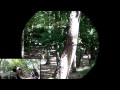 [AIRSOFT] Sniper Scope Cam Bolt 450 Fps #10 | L96 AWS Full PDI