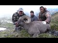 Kamchatka Snow Sheep hunt 4K