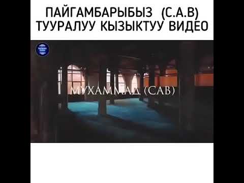 Video: Геранын мүнөзү кандай?