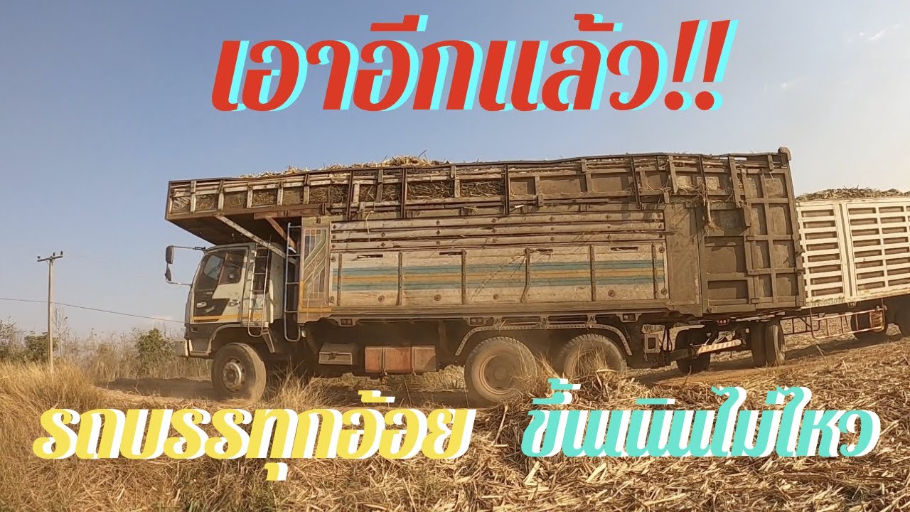 มาดู!! รถบรรทุกอ้อย HINO FM3M240 แรง ขึ้นเนินไม่ไหว EP 215