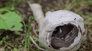 Waterloo Portfolio Submission Video 2018