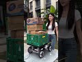4G Remote Control Transport Robot | Industrial Mobile Chassis for Logistics &amp; Inspection