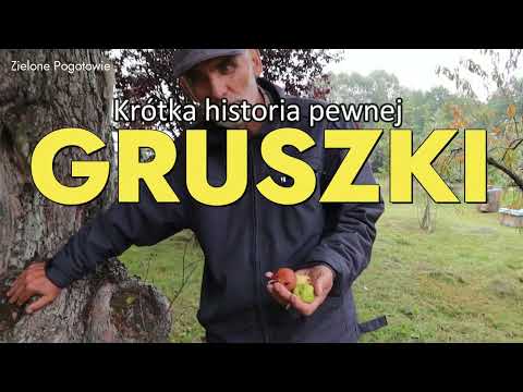 Wideo: Krótka historia drzewa jabłoni