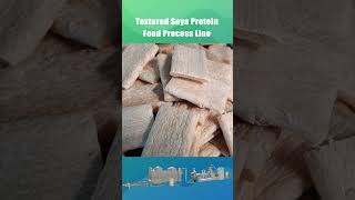 Textured Soya Protein Vegan Food Meat Process Line / Full Fat Soya Machine/ Artificial Meat Maker