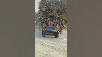 asdy kolo jo saim saim langdy si yadgar video hmry tractor ki laar BROTHERS