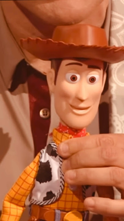 Tom Hanks admits that the voice of Woody in the Toy Story movies toys is his brother Jim Hanks.