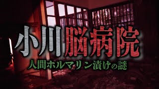 【心霊】小川脳病院 人間ホルマリン漬けの謎【橋本京明】【閲覧注意】