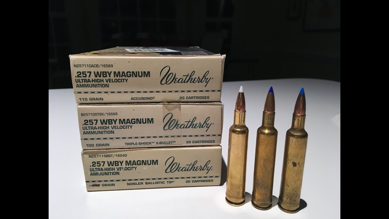 257 Weatherby Bullet Review Accubond Ttsx Tsx And Ballistic Tip Youtube
