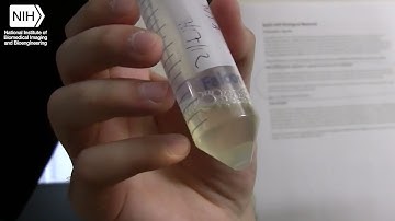 Advice for Future Scientists