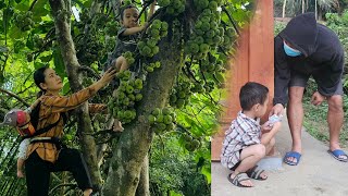 The father did not recognize the child.Single mom harvest the fruit and went to the market to sell.